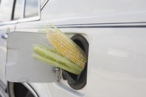 We see what you did here, Getty. "Corn cob in car gas tank filler."