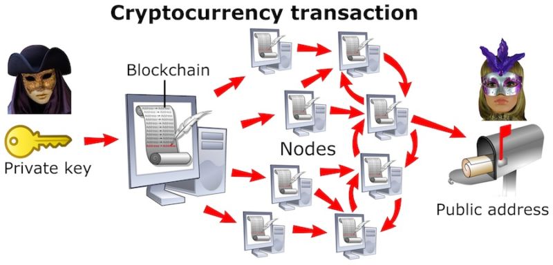 Shows relationship between the private key, blockchain, nodes, and public address.