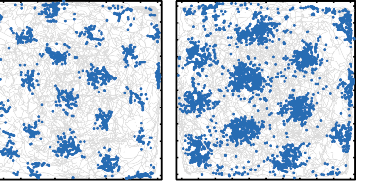 AI trained to navigate develops brain-like location tracking