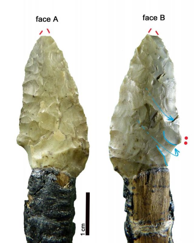 Ötzi's dagger.
