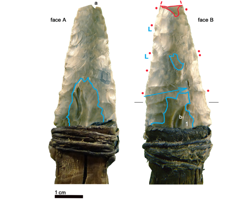 otzi the iceman tools