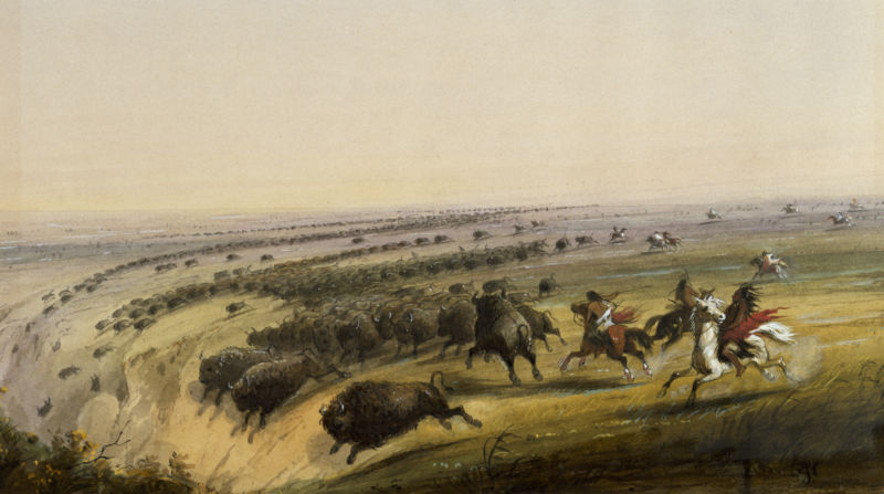 Native americans deals and bison