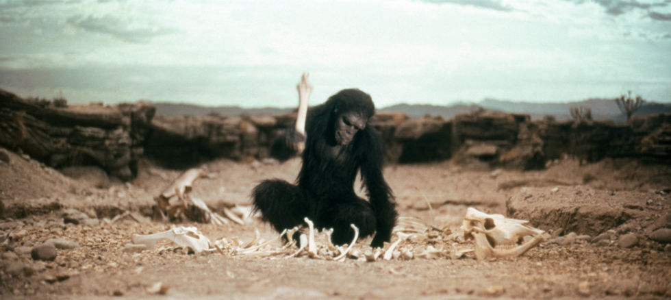 SunsentBlvd_GettyImages_2001-Ape-980x438.jpg