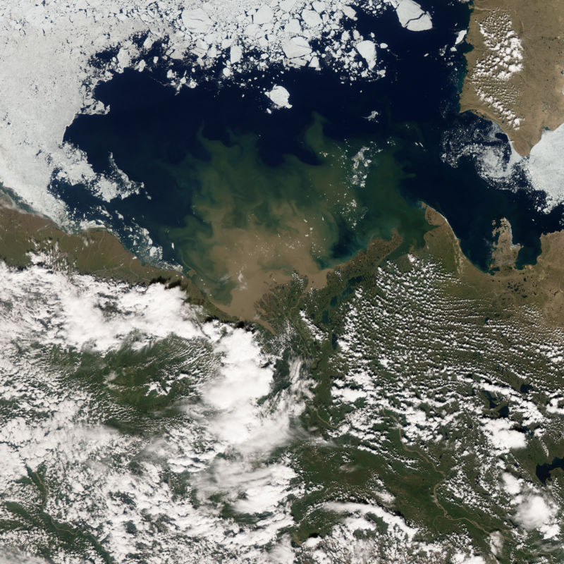 Satellite image of the Earth's surface is aswarm with clouds.
