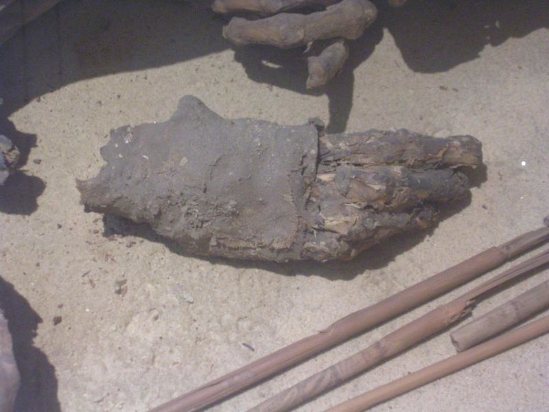 Ancient Egyptians had been making mummies longer than anyone thought