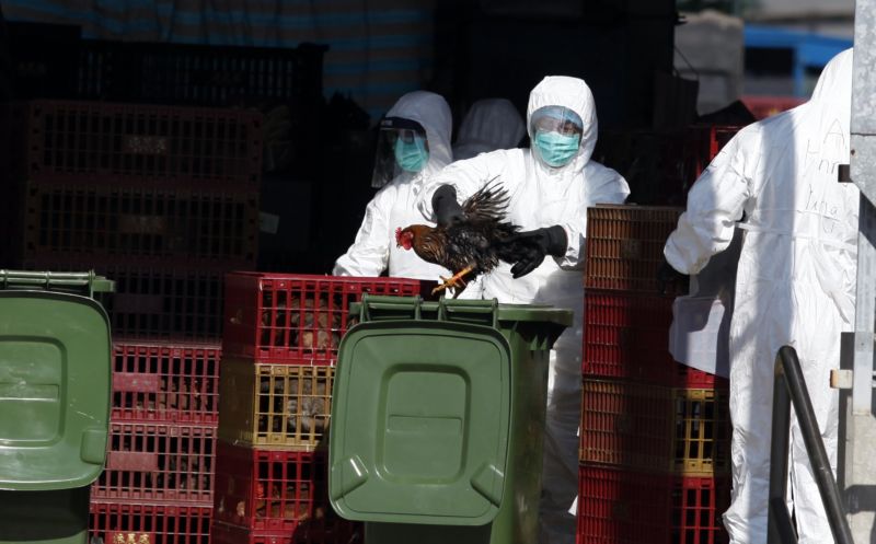 A man in protective gear stuffs a bird into a garbage can.