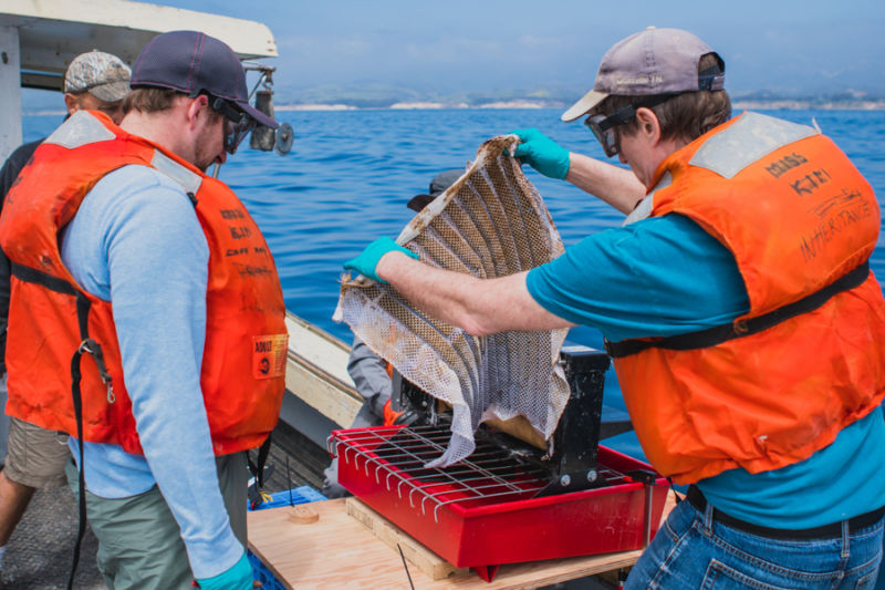 Seth Darling, Jeff Elam and Ed Barry conduct research experiments with the Oleo Sponge in Santa Barbara, California.