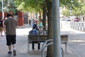 A Zelda shield in the wild...