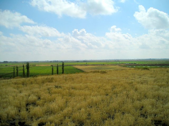 The modern-day fields around the archaeological site of Çatalhöyük.