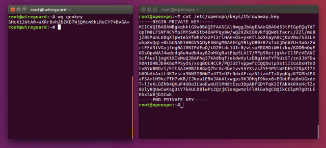 On the left, a WireGuard key. On the right, an OpenVPN key.