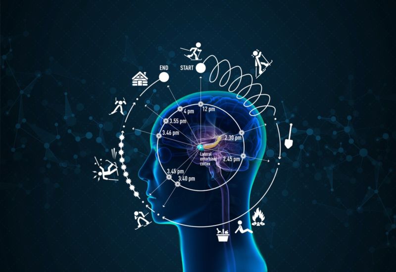 Scientists Found Brains Internal Clock That Influences How