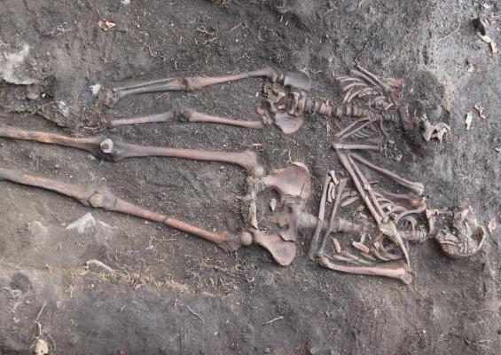 Image of two skeletons.