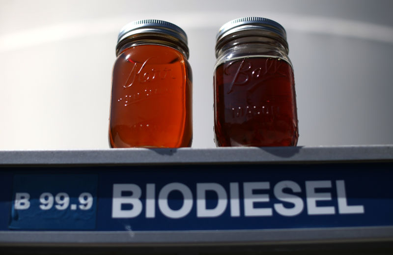 Samples of biodiesel in jars