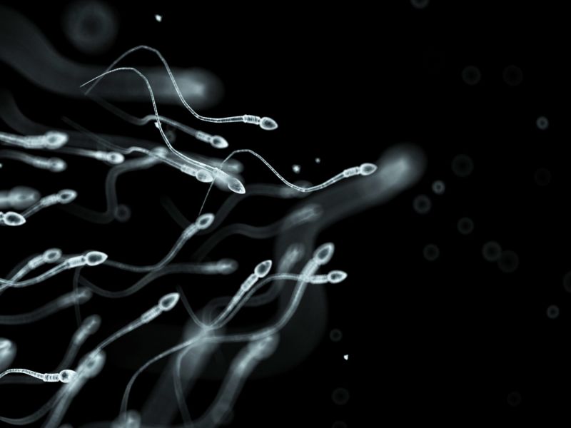 Little white swimmers against a black background.