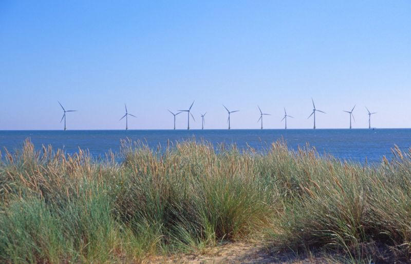 A view of wind turbines from the coast