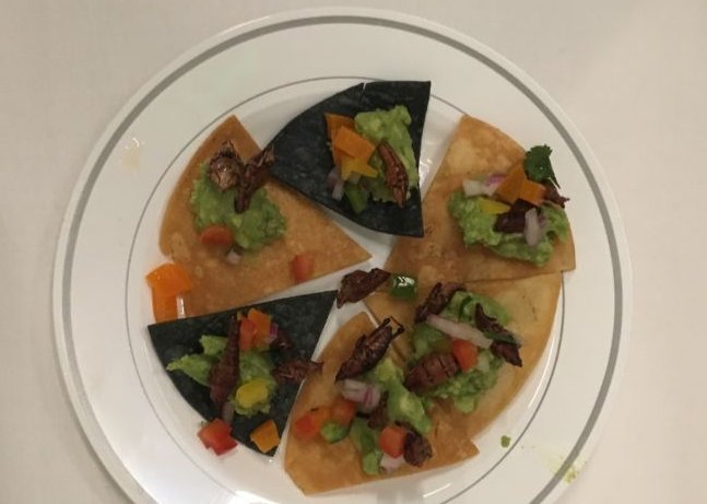 Chips and guacamole sprinkled with crickets.