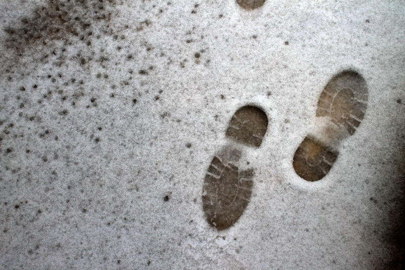 Footprints in the snow.