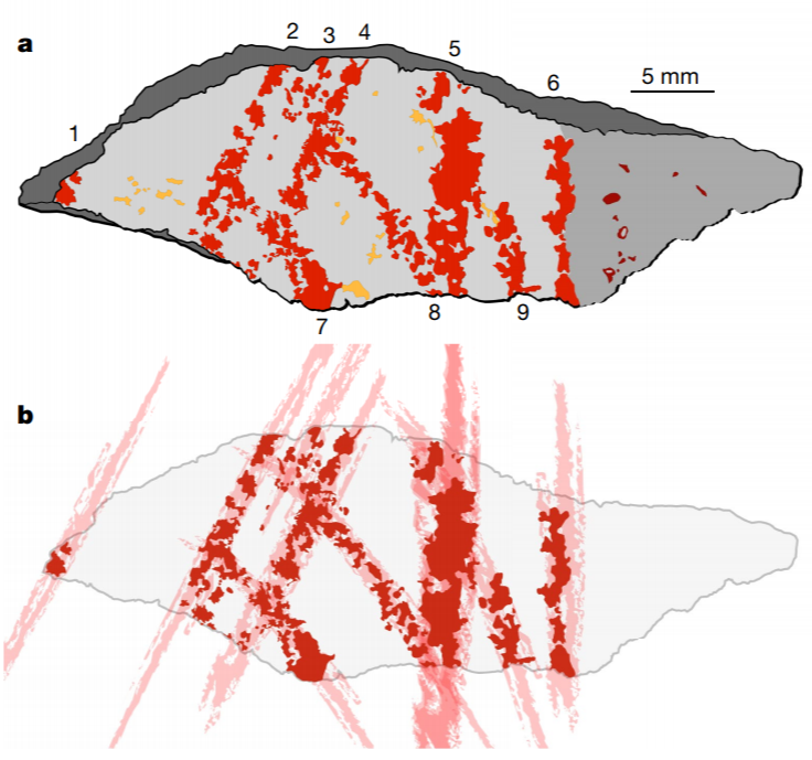 The Oldest Drawing In The World Was Done With An Ocher Crayon Ars   Diagram 