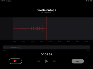 The voice memos app in iOS 12 on an iPad