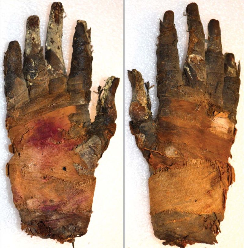 mummyhand-800x813.jpg