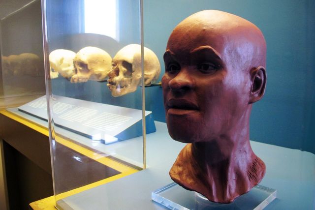 This facial reconstruction, along with several casts of Luzia's skull, were among the items lost in the fire that destroyed the National Museum of Brazil in September.