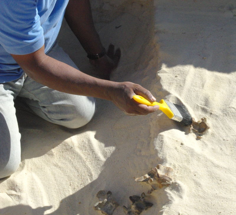 Archaeologists find 300,000-year-old stone tools in Saudi Arabia