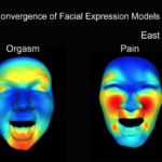 Orgasm Facial Expression