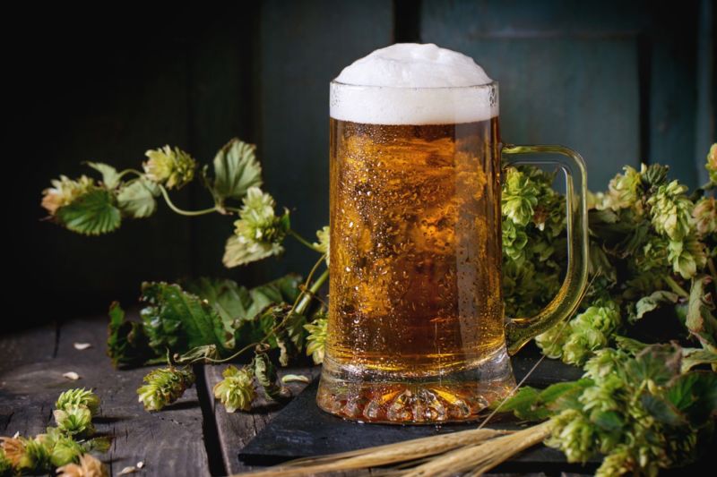 In dry hopping, hops are added during or after the fermentation stage of the brewing process.