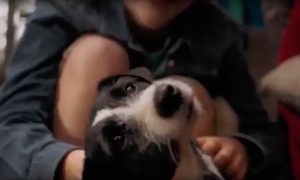 Promotional image from Good Omens.