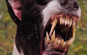 Promotional image from Good Omens.