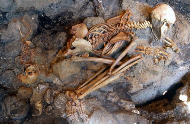 Remains of a child and a young adult male excavated from the ash surge deposits at Herculaneum.