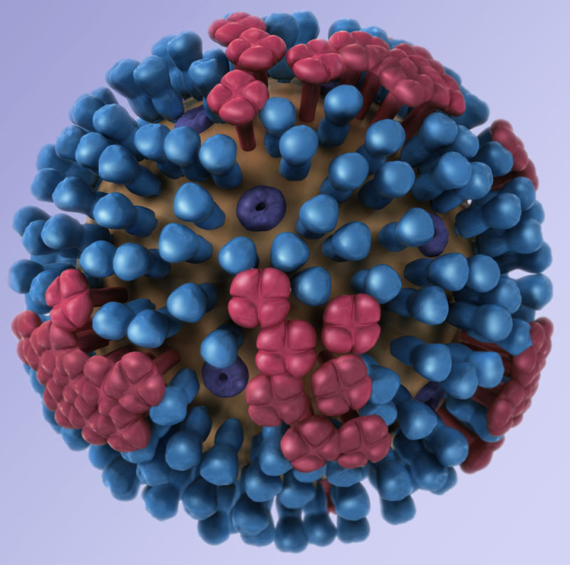 Graphical depiction of a virus.