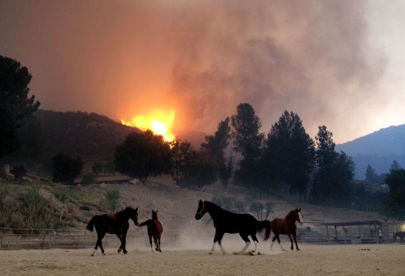 Horses are spooked as the Woolsey Fire moves through the property on Cornell Road near Paramount Ranch on November 9, 2018, in Agoura Hills, California.