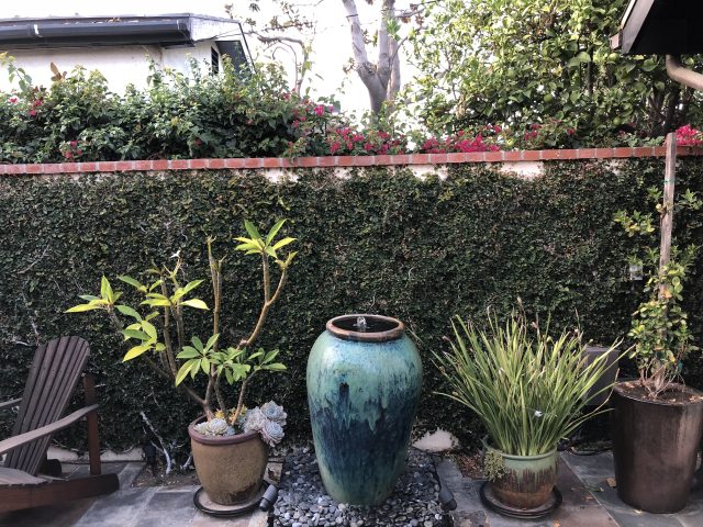 A detail shot on the iPhone 8.