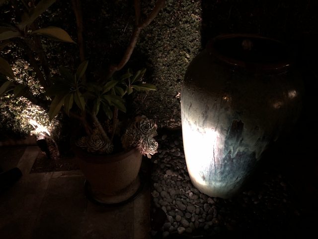 A low-light shot on the iPhone 8.