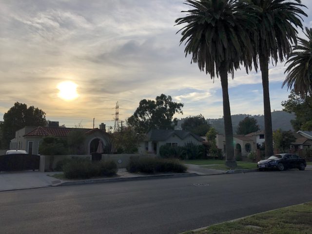 A sunlight shot on the iPhone 8.