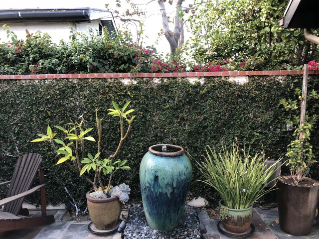 A detail shot on the iPhone X.