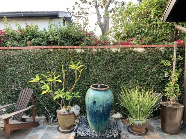 A detail shot on the iPhone XR.