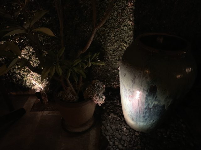 A low-light shot on the iPhone XR.