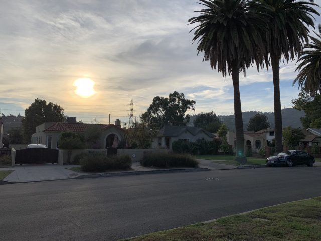 A sunlight shot on the iPhone XR.