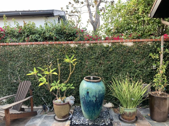 A detail shot on the iPhone XS.