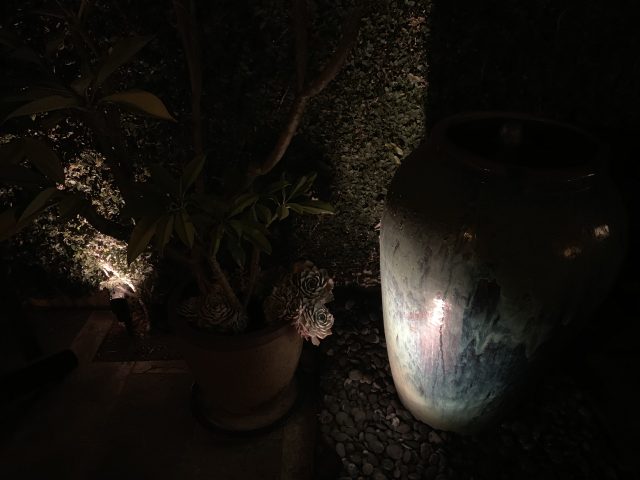 A low-light shot on the iPhone XS.