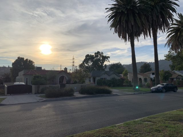 A sunlight shot on the iPhone XS.