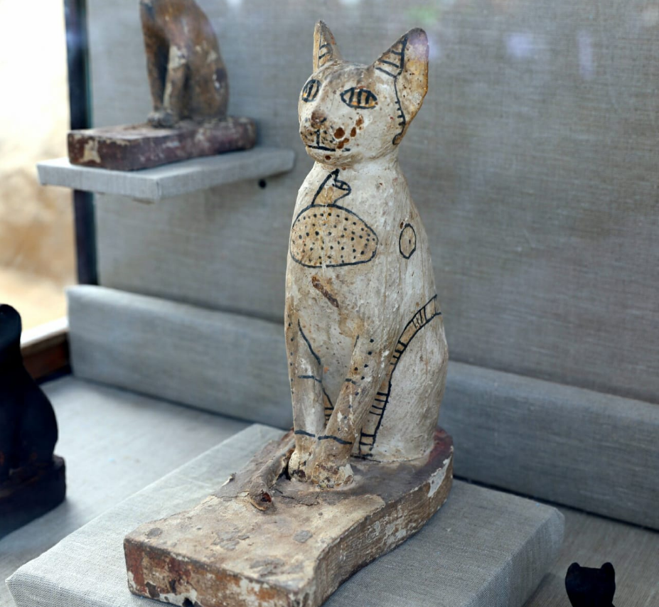 Cats, beetles, other mummified animals found—along with a sealed door | Ars  Technica