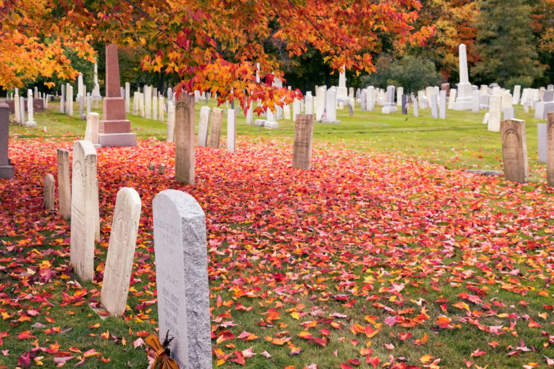 cemetery-grave-800x533.jpg