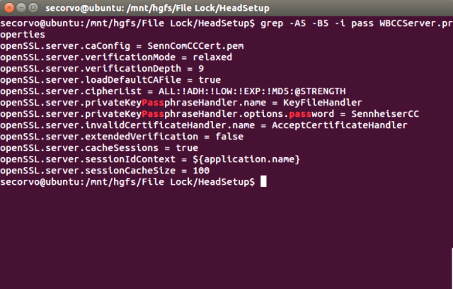 Configuration settings within the HeadSetup binary.