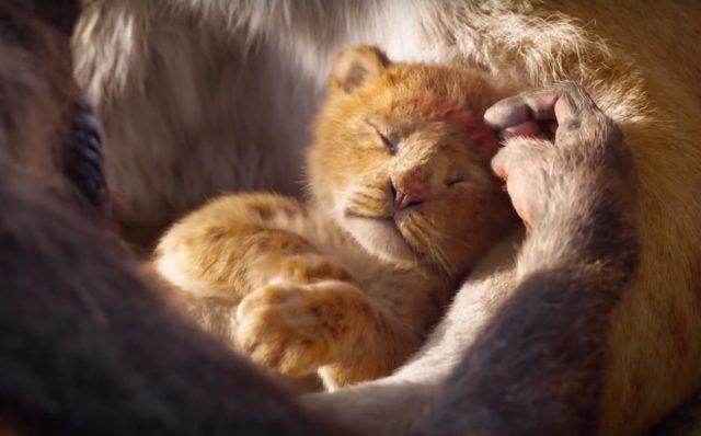 Japanese love story tmb The lion king father and son youtube