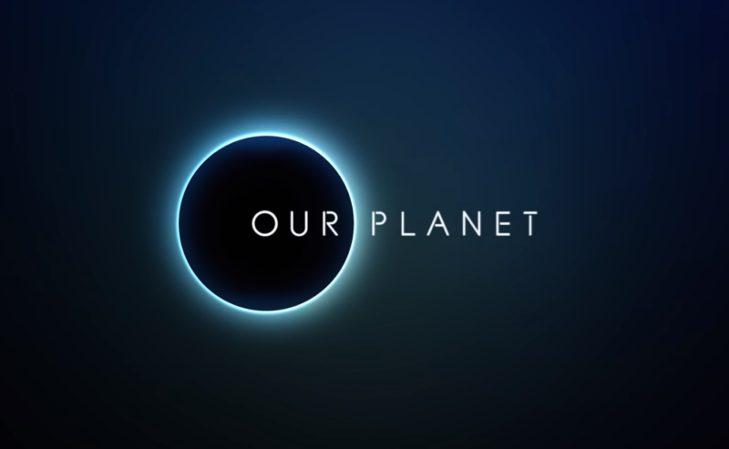 Best Netflix Documentaries: Our Planet