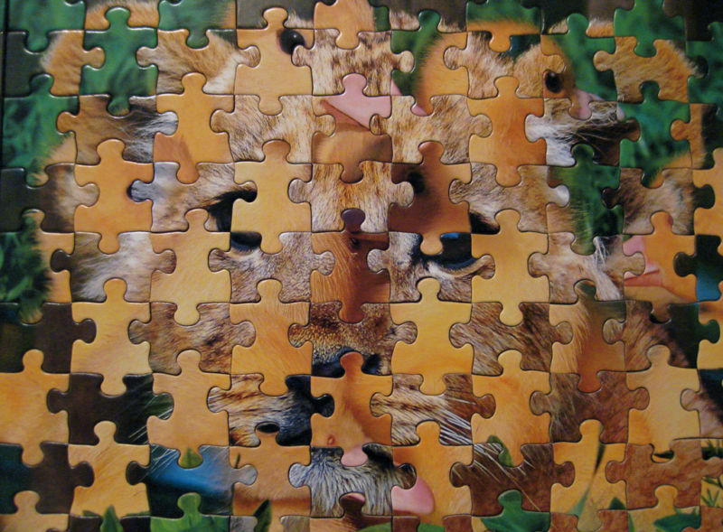 A jumbled jigsaw puzzle, AKA the state of theory in the behavioral sciences.