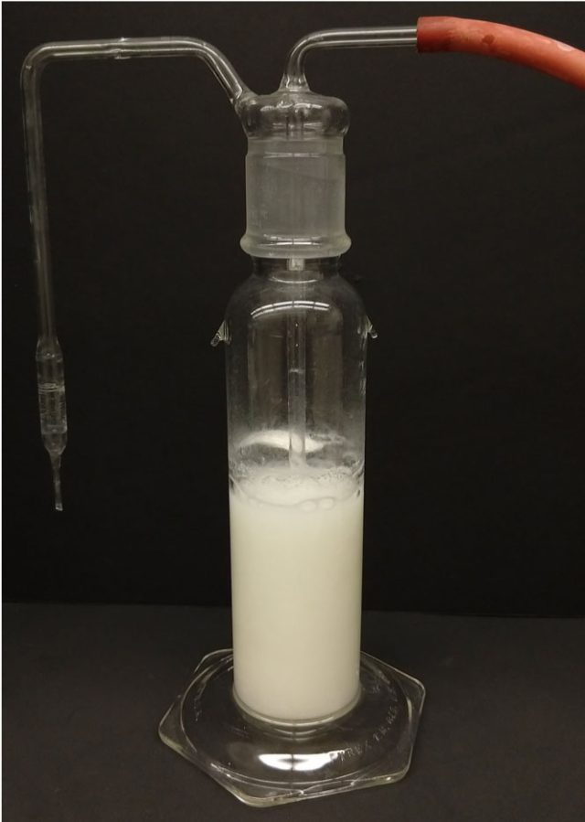 Bicarbonate precipitate resulting from CO<sub>2</sub> bubbling through an aqueous solution of the bis-iminoguanidine (BIG) sorbent. 